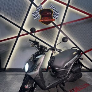 AUTOMATICA BWS X