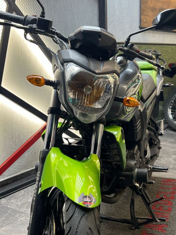 FZ 16  - Image 2