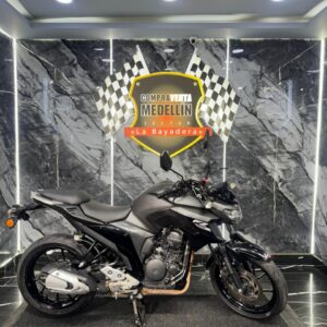 FZ 250