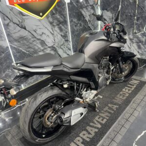 FZ 250