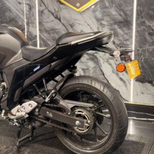 FZ 250