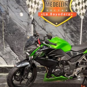KAWASAKI ER 250 C BICILINDRICA