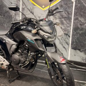 FZ 250