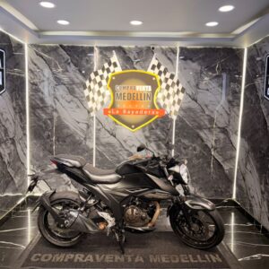 SUZUKI GIXXER 250